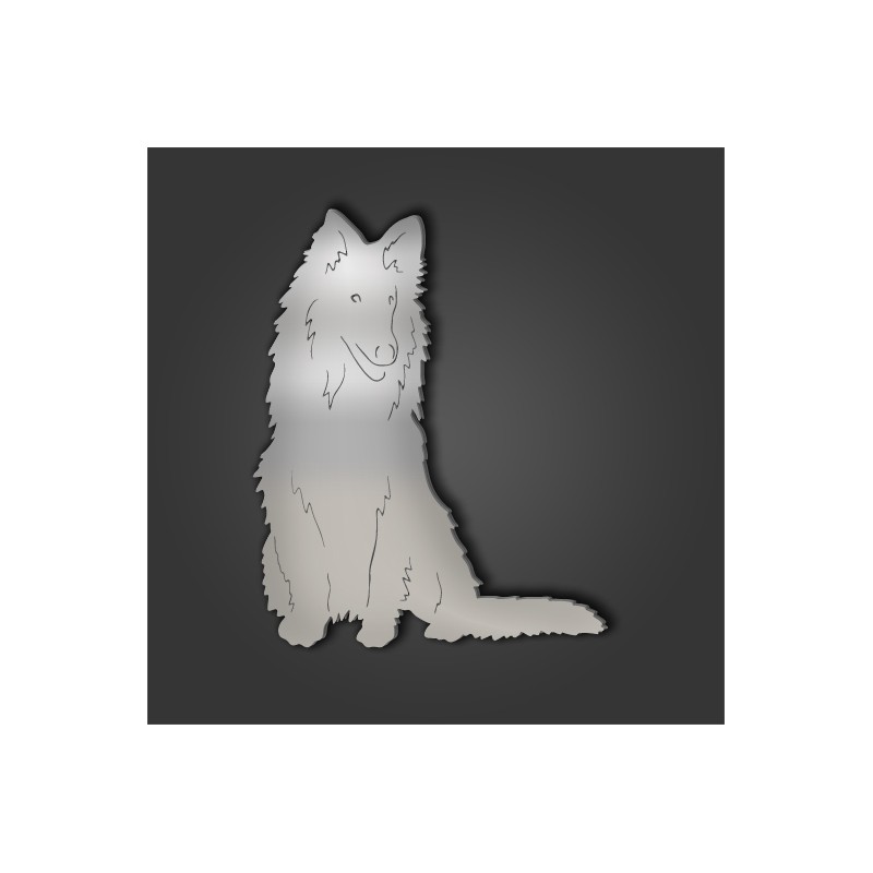 rough-collie-style-1