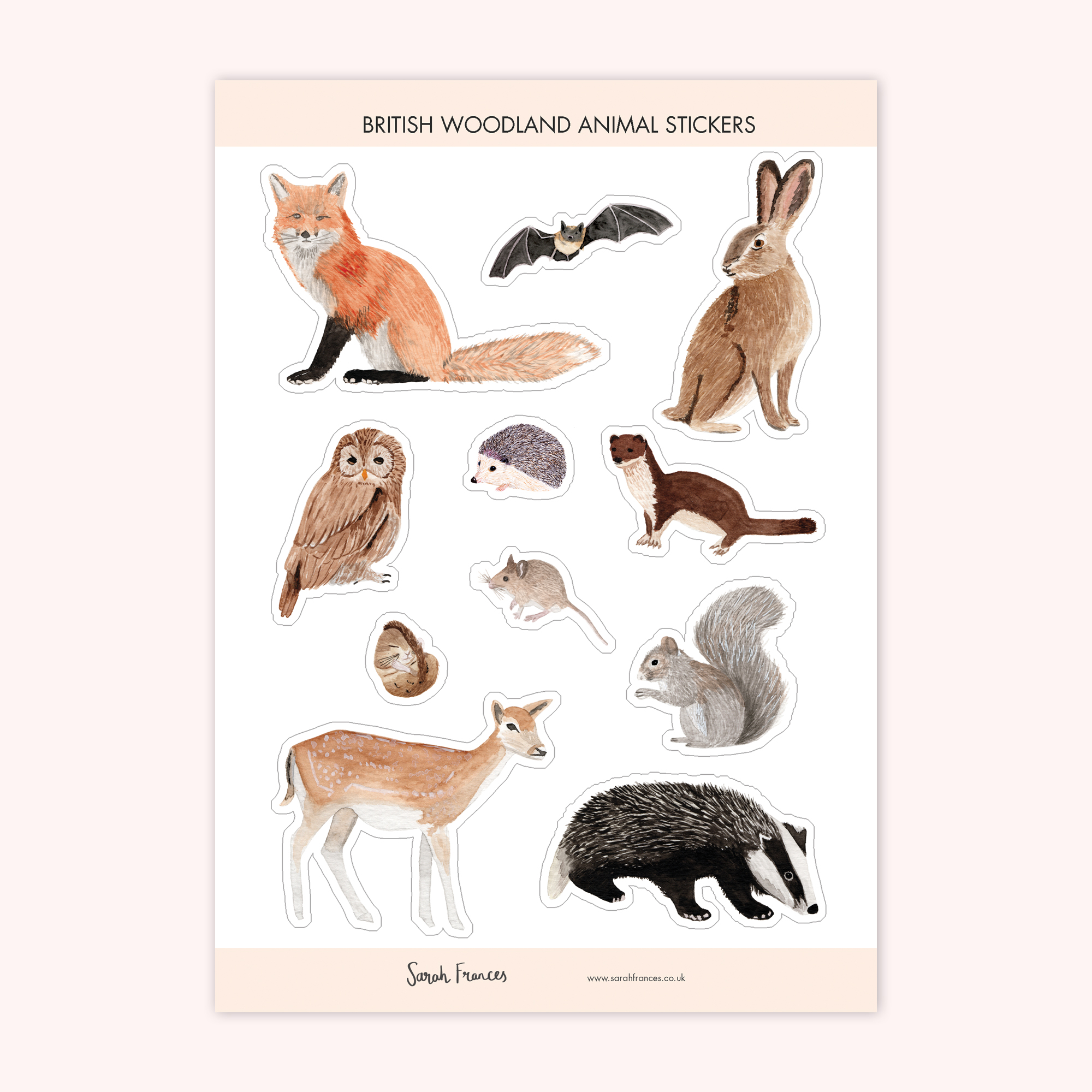 British Woodland Animals