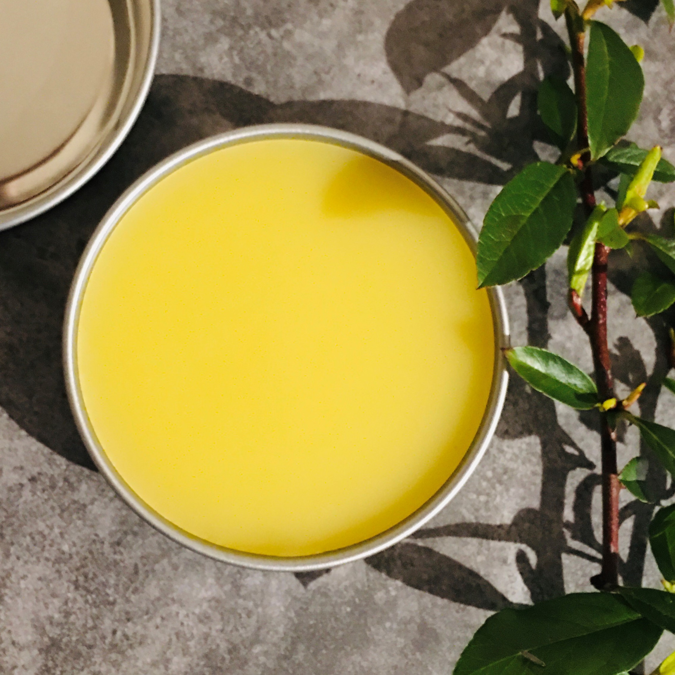 Tea Tree Balm_2020.03.29 (Second - Square)