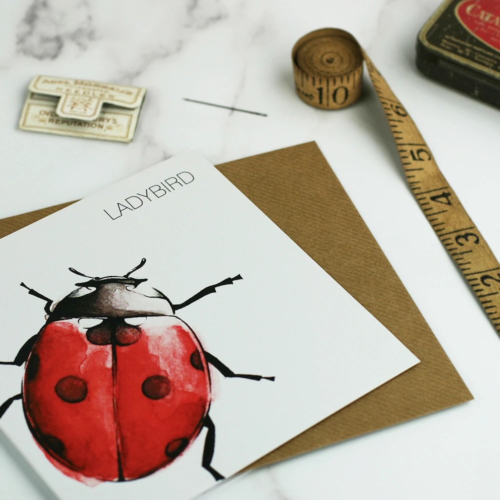 crd ladybird