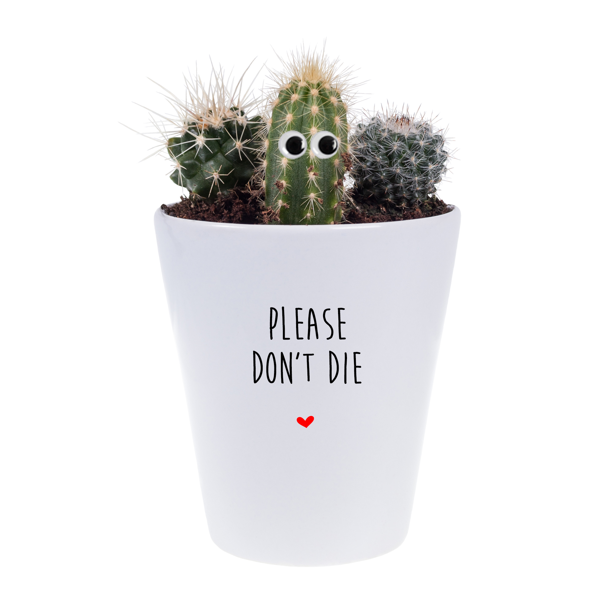2018 FINAL Please don't die cactus googly eyes