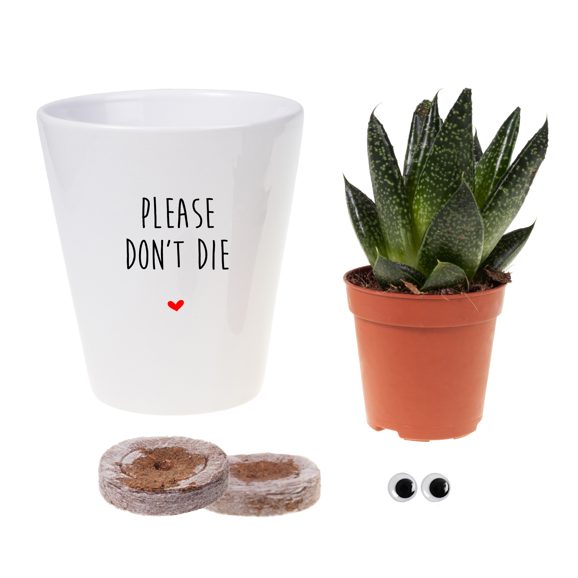 Aloe collection with eyes PLEASE DON'T DIE