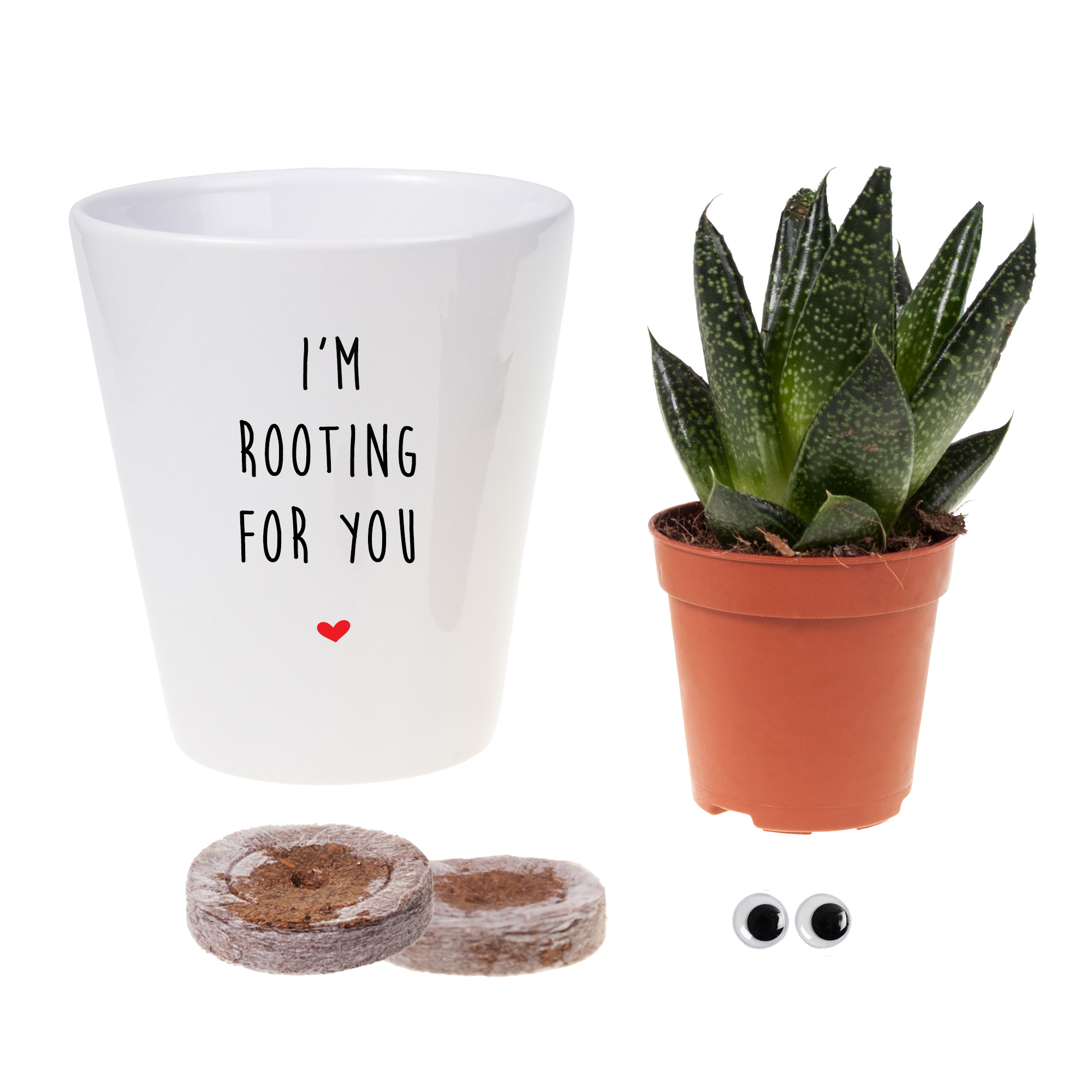 Aloe collection with eyes i'm ROOTING FOR YOU