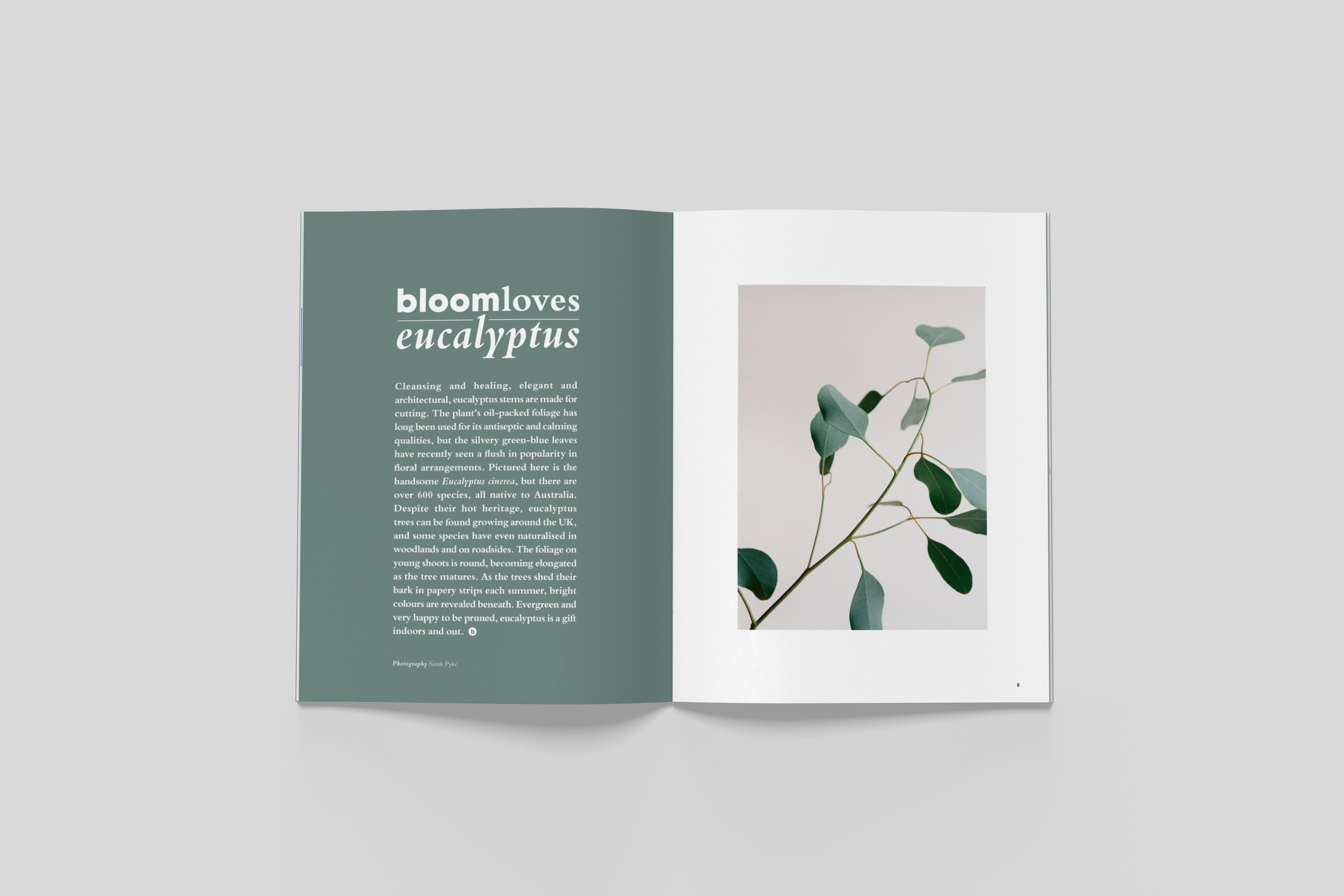 BloomIssue7_spreads_02