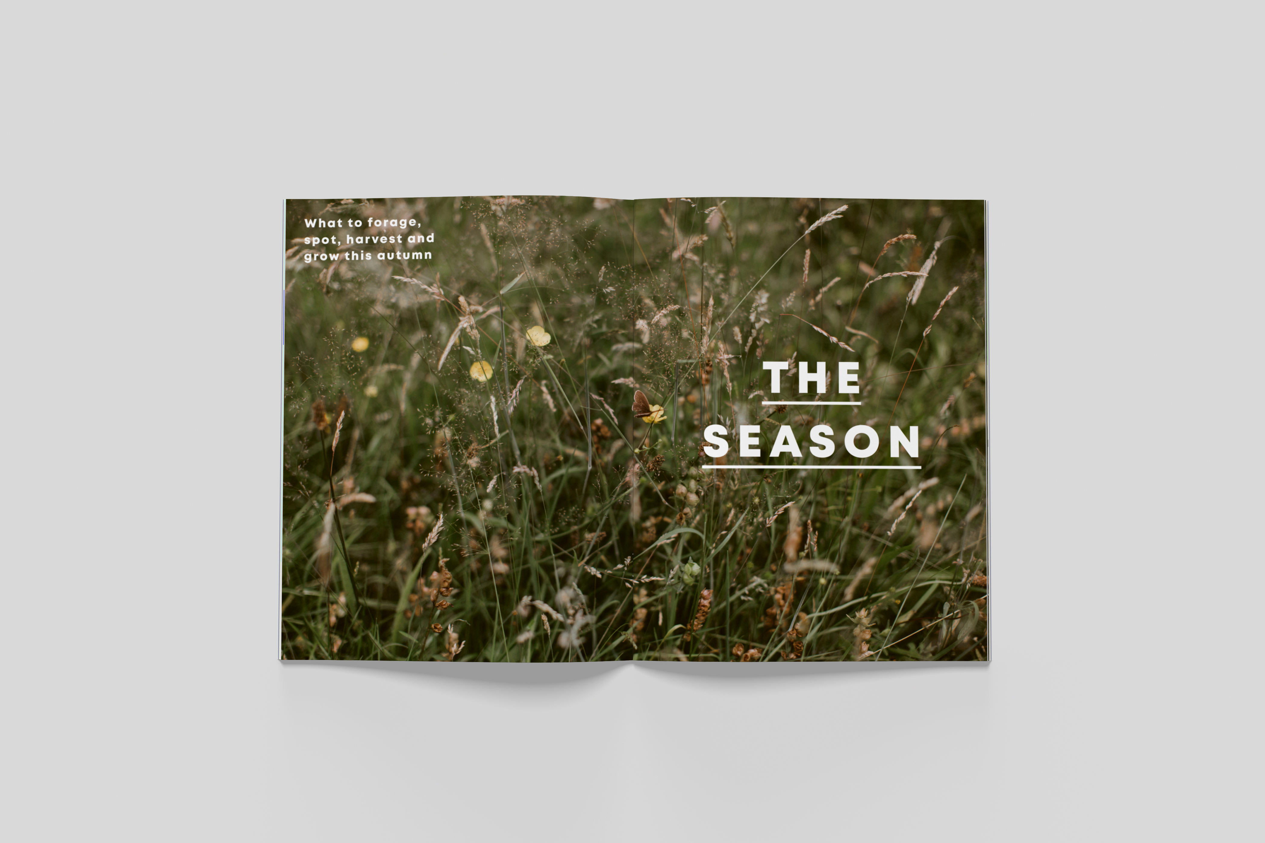 BloomIssue7_spreads_03