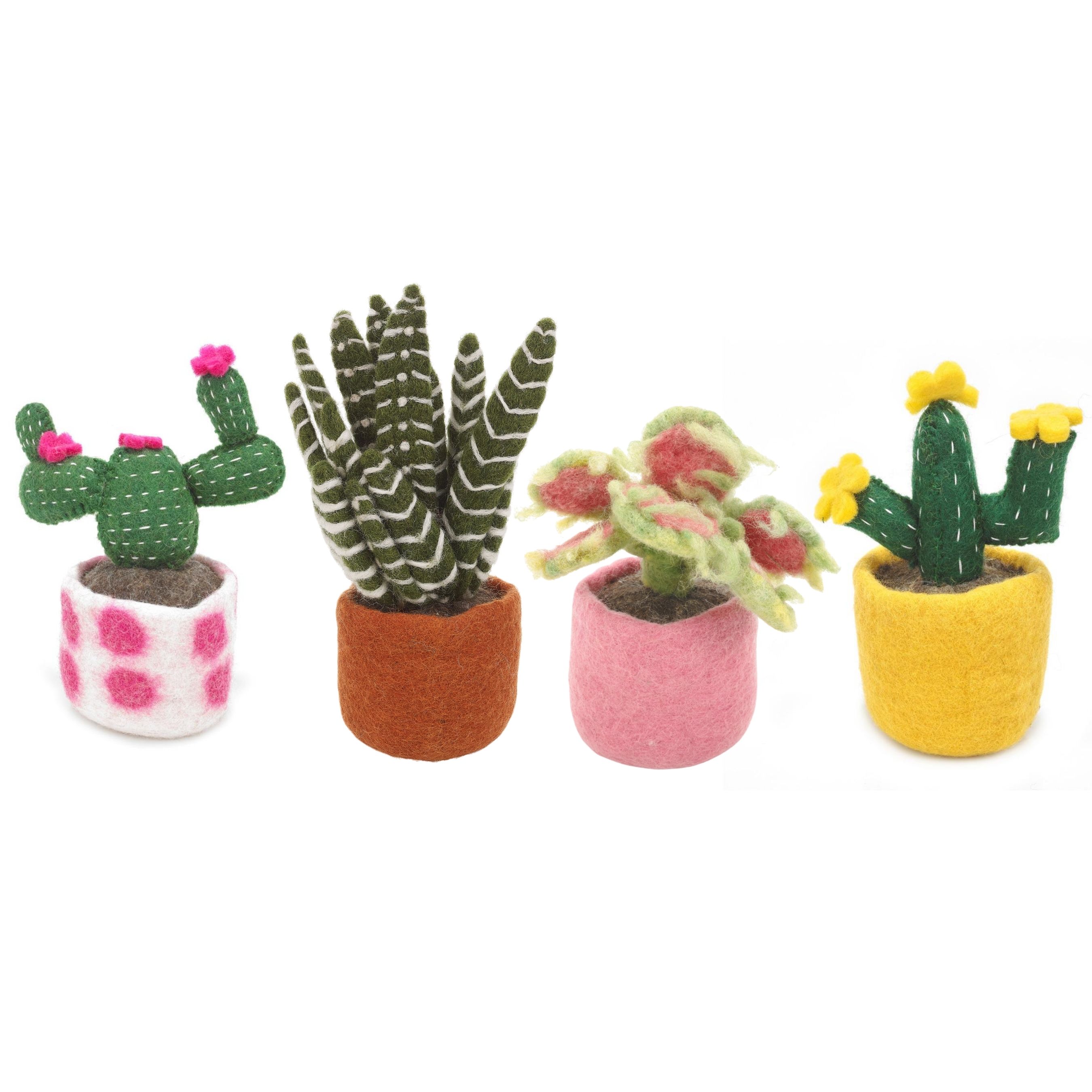 Cactus_group_new_hires