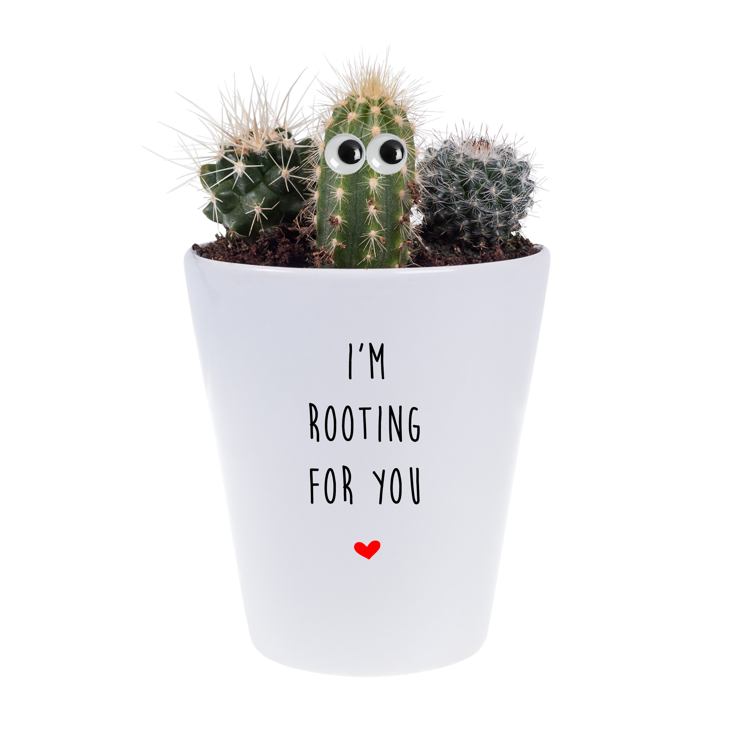 I'm rooting for you Plant Big - PR