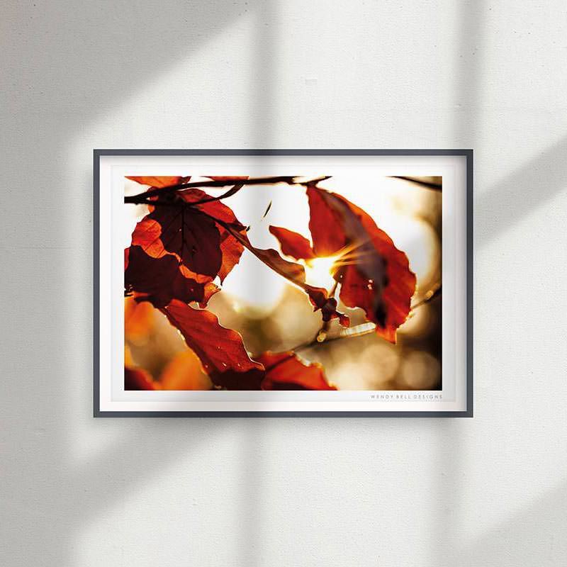 PC06-Fiery-Autumn-Leaves