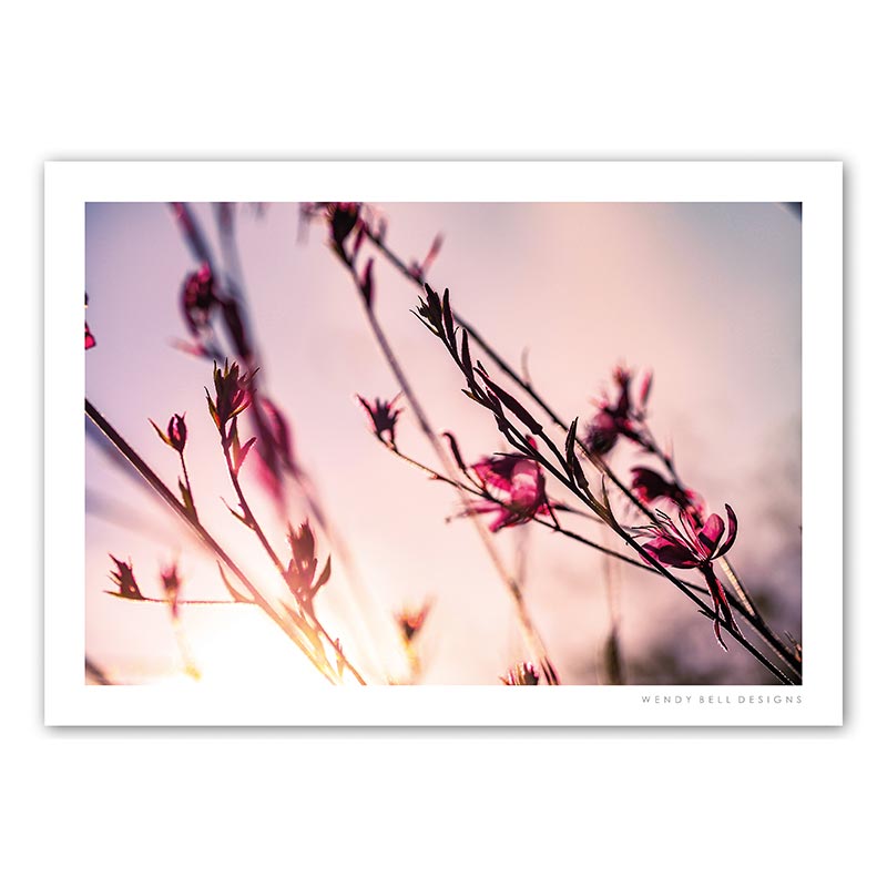 WendyBellDesigns-PC02-SUNSET-FLOWERS