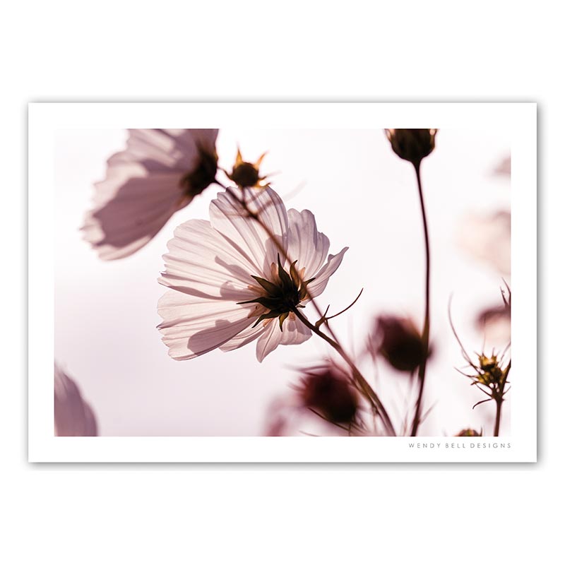 WendyBellDesigns-PC03-BLOWING-IN-THE-BREEZE