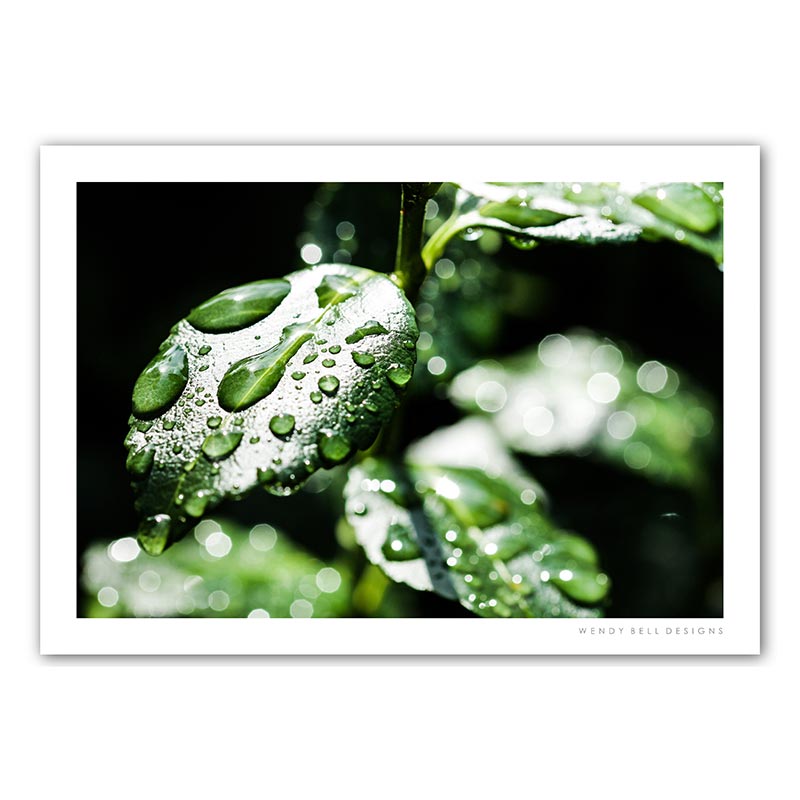 WendyBellDesigns-PC04-DEW-DROP-LEAVES