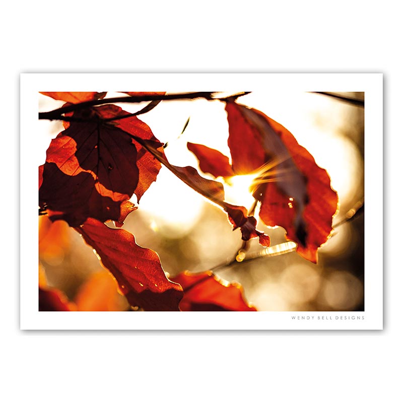 WendyBellDesigns-PC06-FIREY-AUTUMN-LEAVES