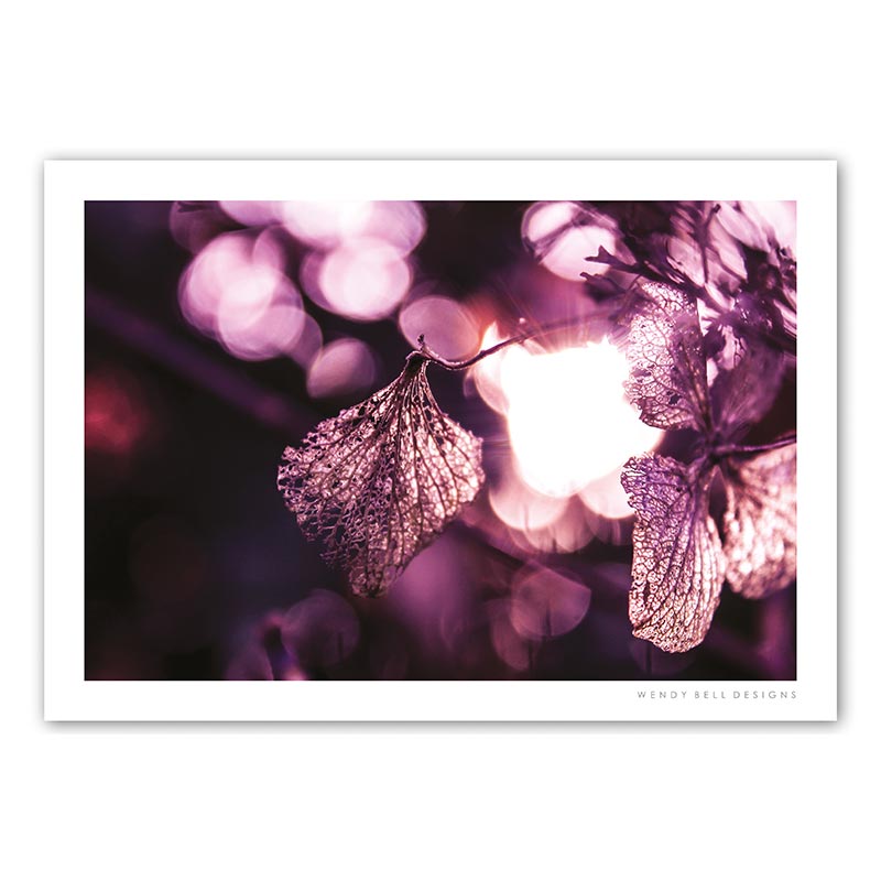 WendyBellDesigns-PC07-DELICATE-HYDRANGEA-PETAL