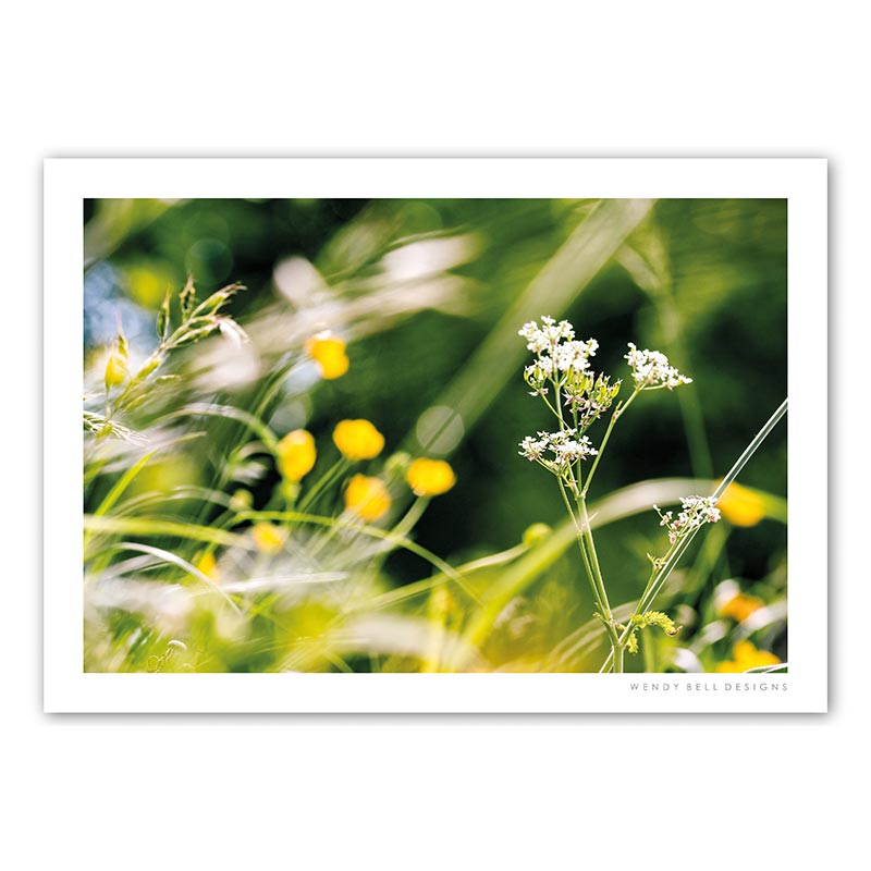 WendyBellDesigns-PC11-COW-PARSLEY-&-BUTTERCUPS