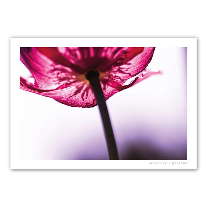 WendyBellDesigns-PC13-RED-POPPY