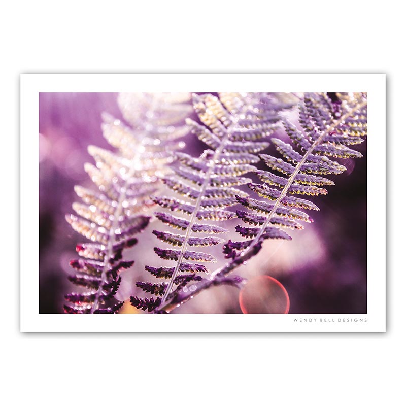 WendyBellDesigns-PC14-GLISTENING-FERNS