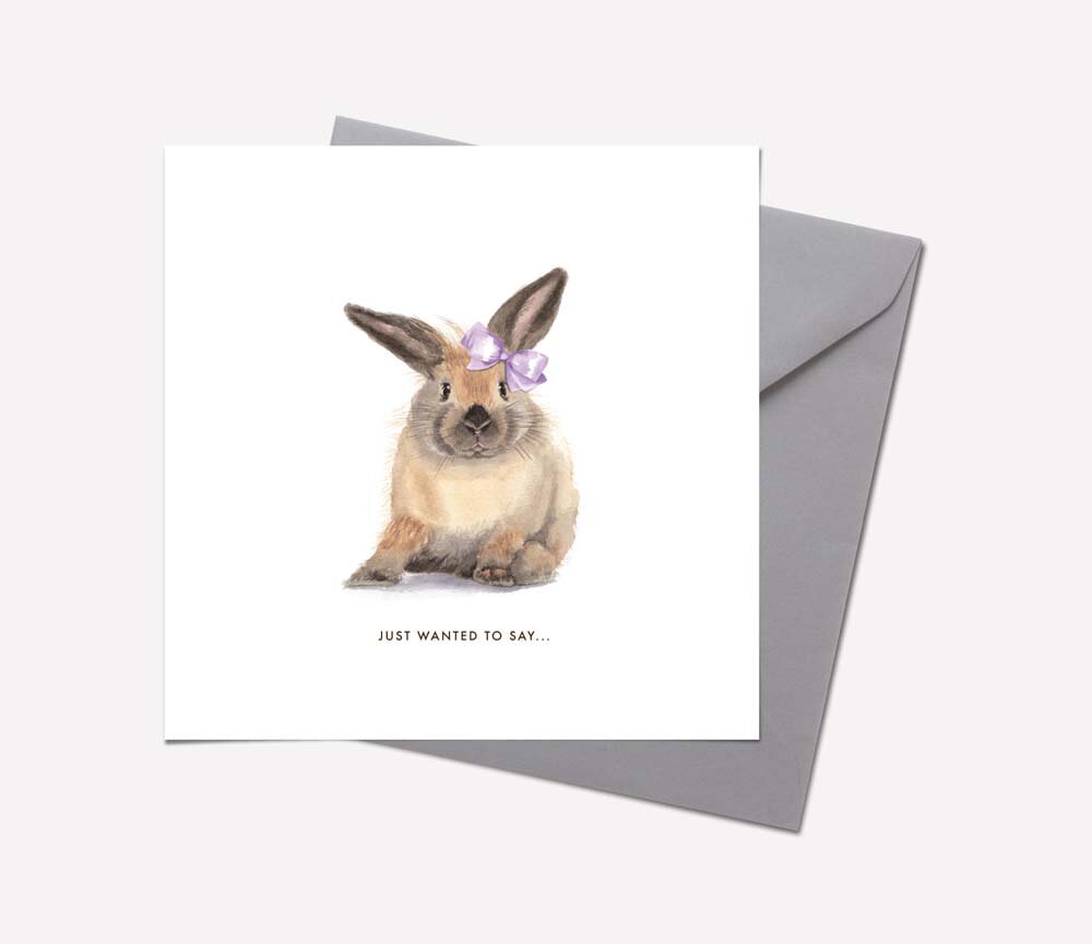 18 RABBIT+JUST+WANTED+TO+SAY