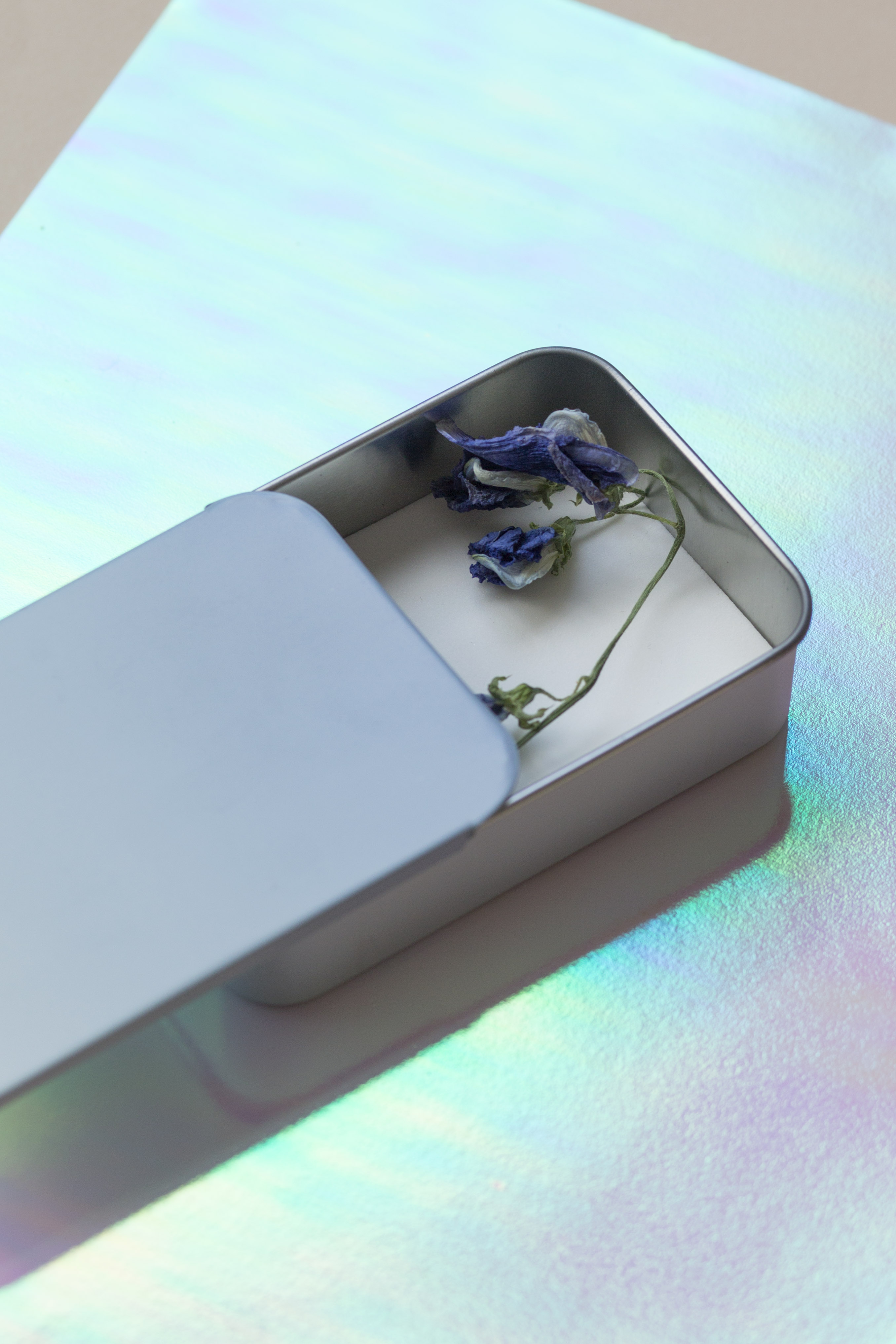 TREASURE TIN - MAKE HISTORY 19