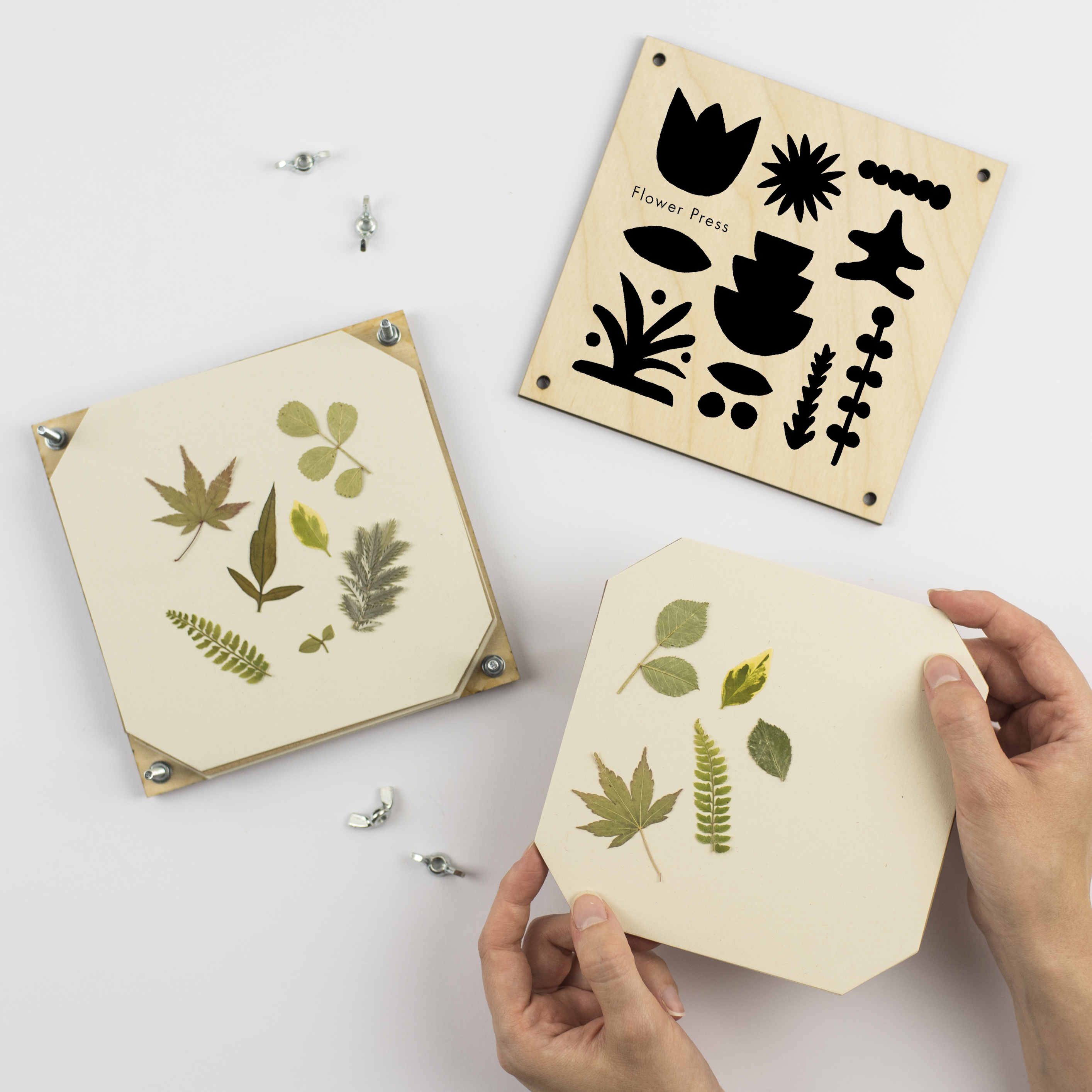 Wald Abst Flower Press 2