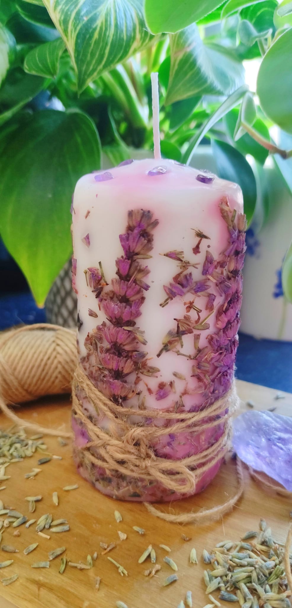 WhatsApp Image 2022-03-22 at 2.55.01 PM