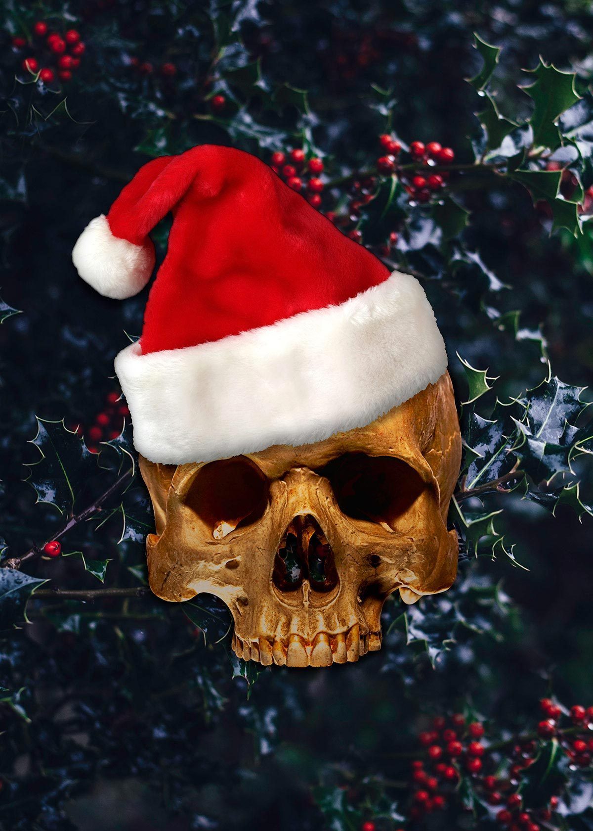 chris007-printonly_2e669397-406b-4848-b8fd-f9a4411ac500_2400x