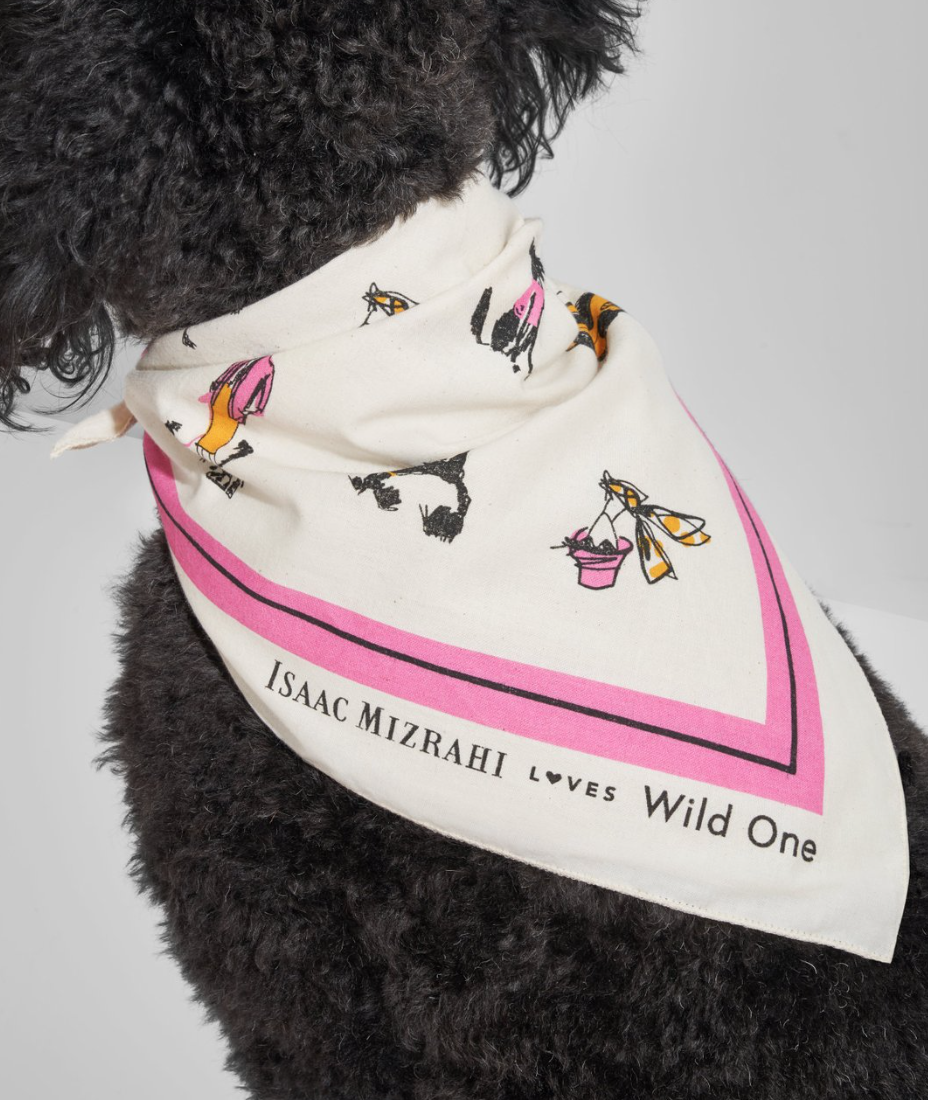 截屏2022-10-25 下午5.55.07