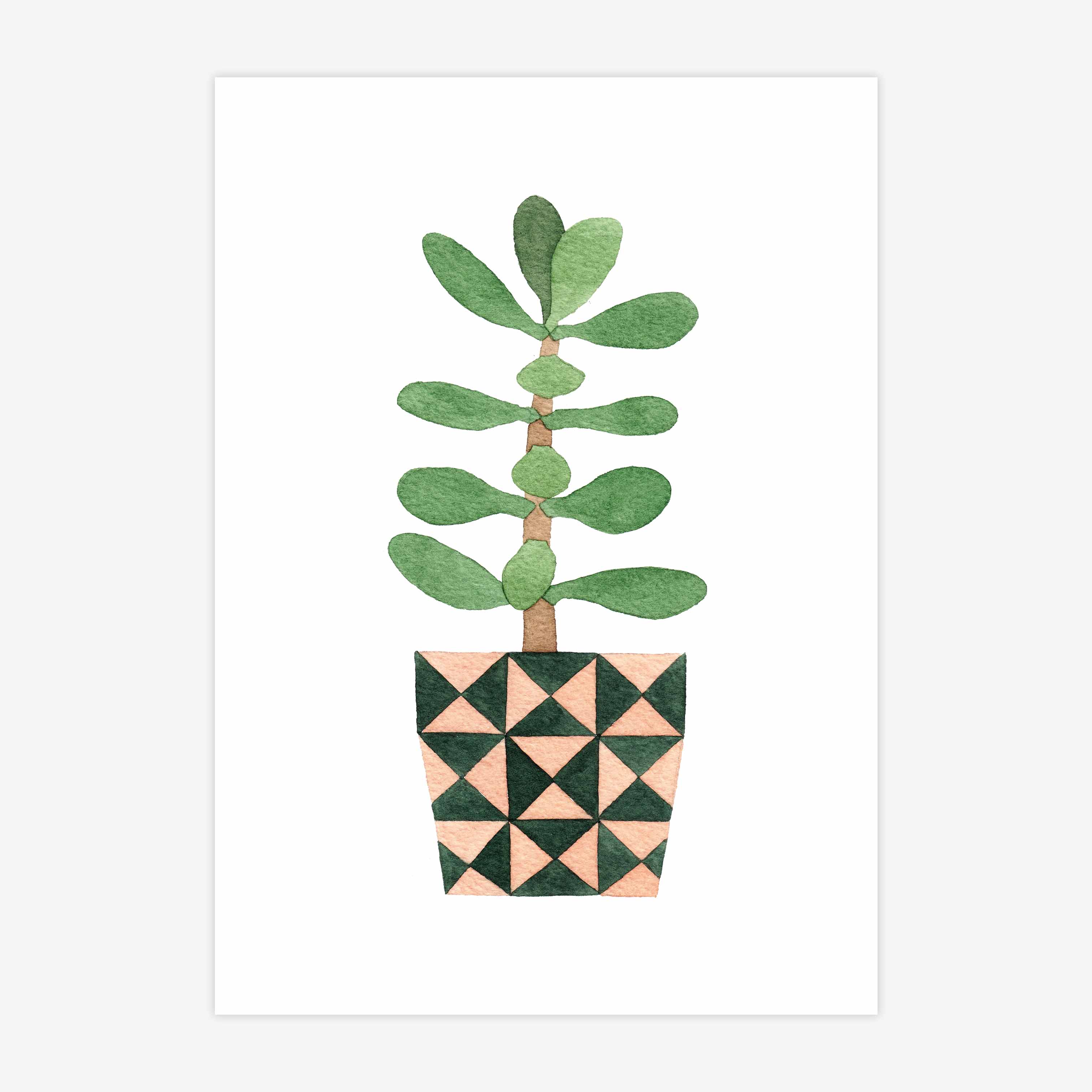 Jade Plant Print
