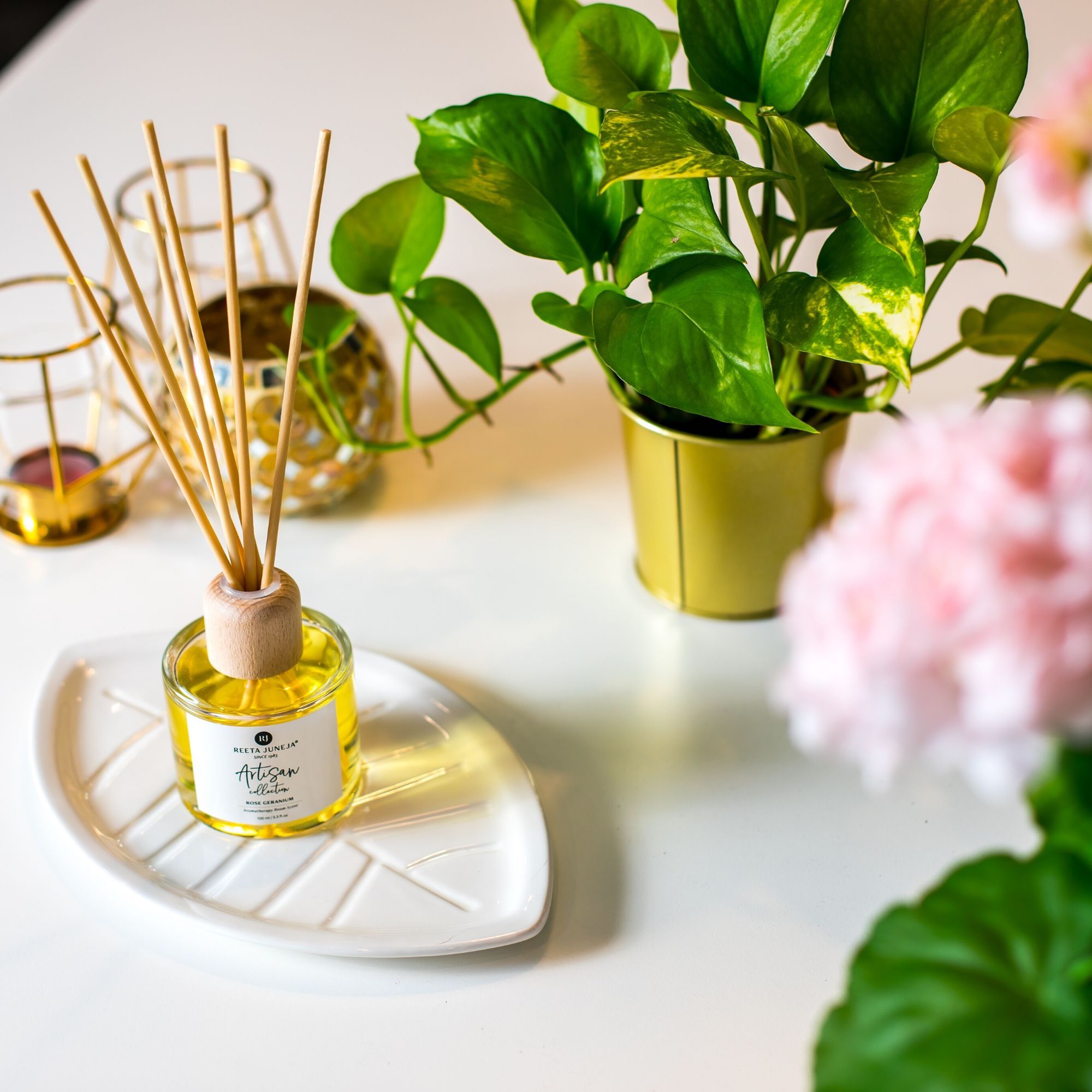 Rose Geranium Aromatherapy Reeds - LS2 Cropped