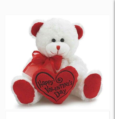 Valentine's Day Gifts