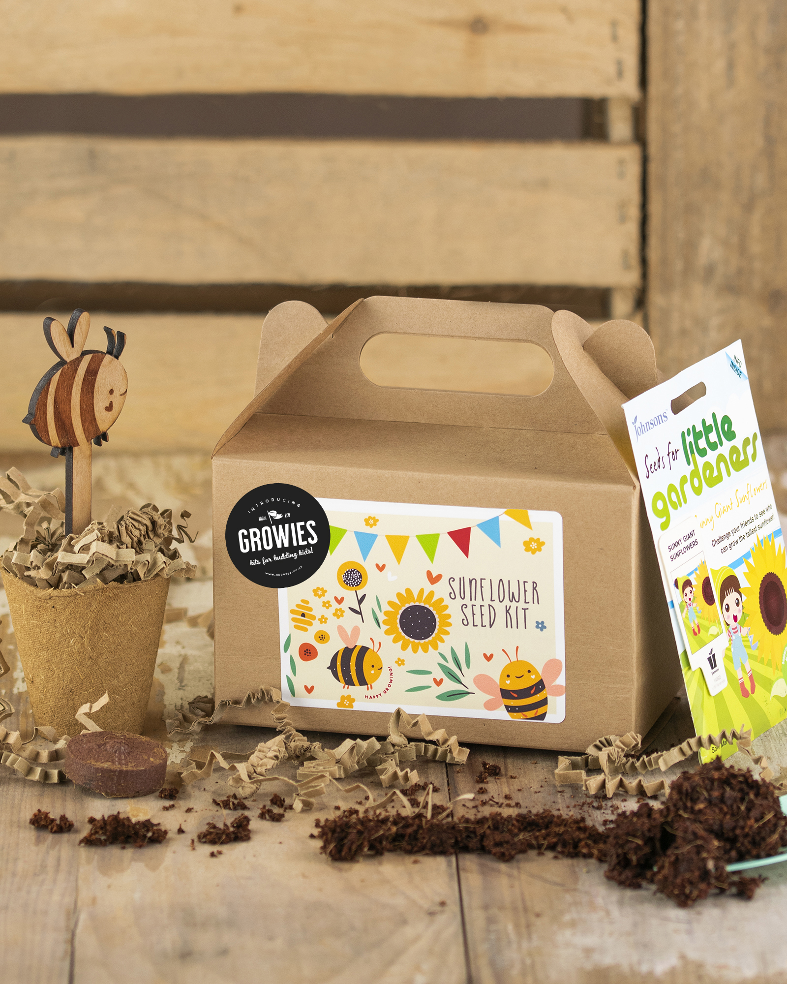 Party Pack Sunflower Seed Box 1 (2)