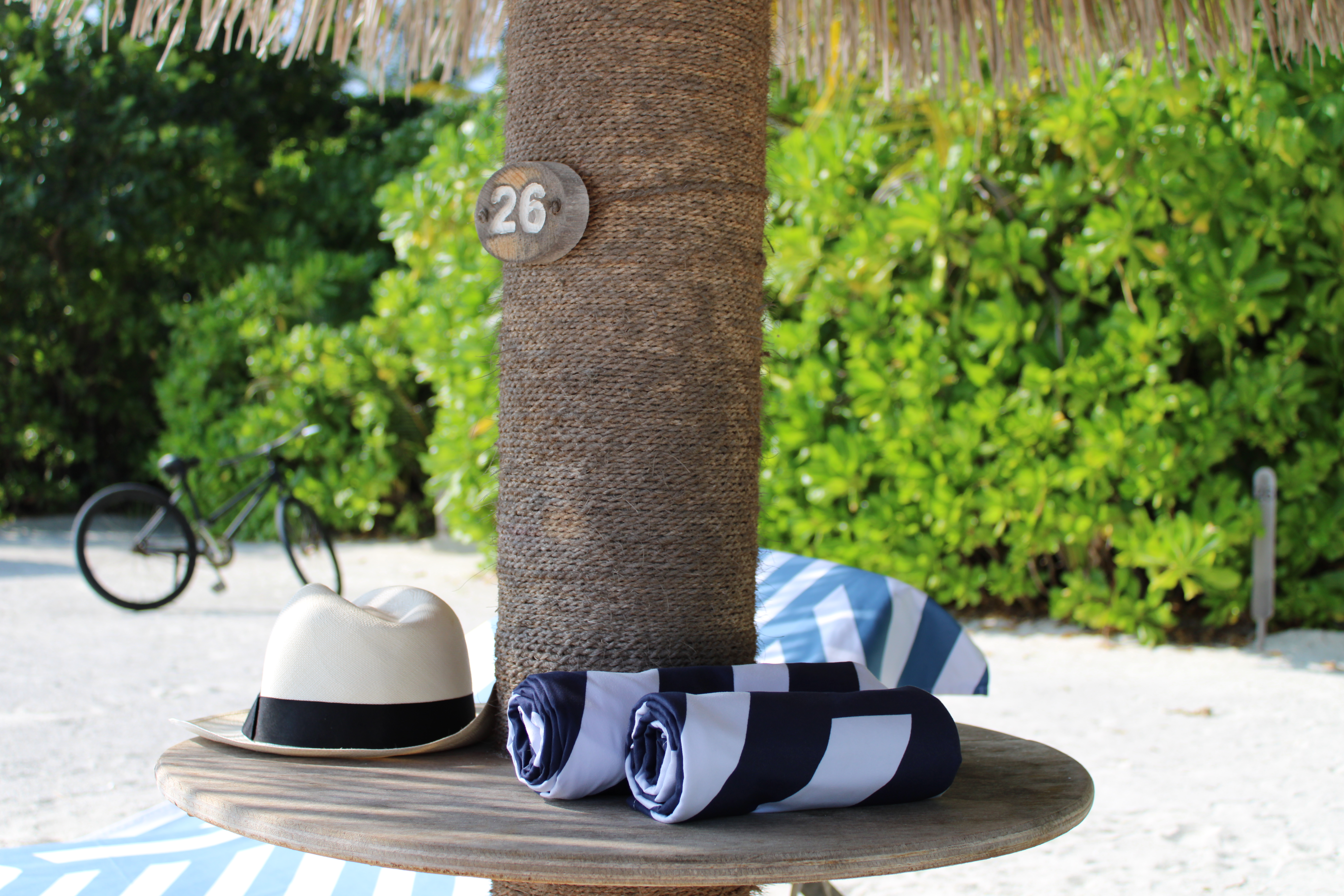 -9182890223767502471_IMG_0282