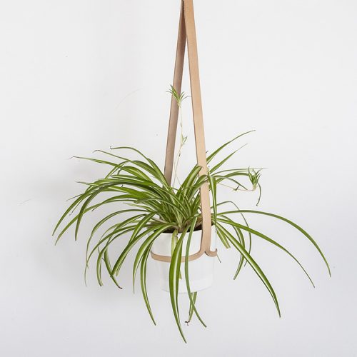 Leather Ceiling Plant Hanger