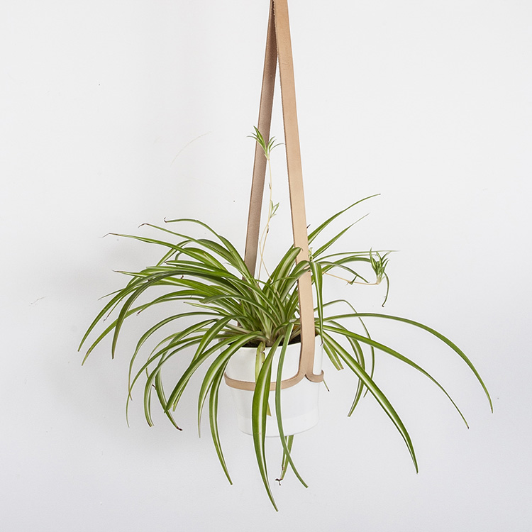 PH-CelHNudB120SQ Leather Ceiling Plant Hanger