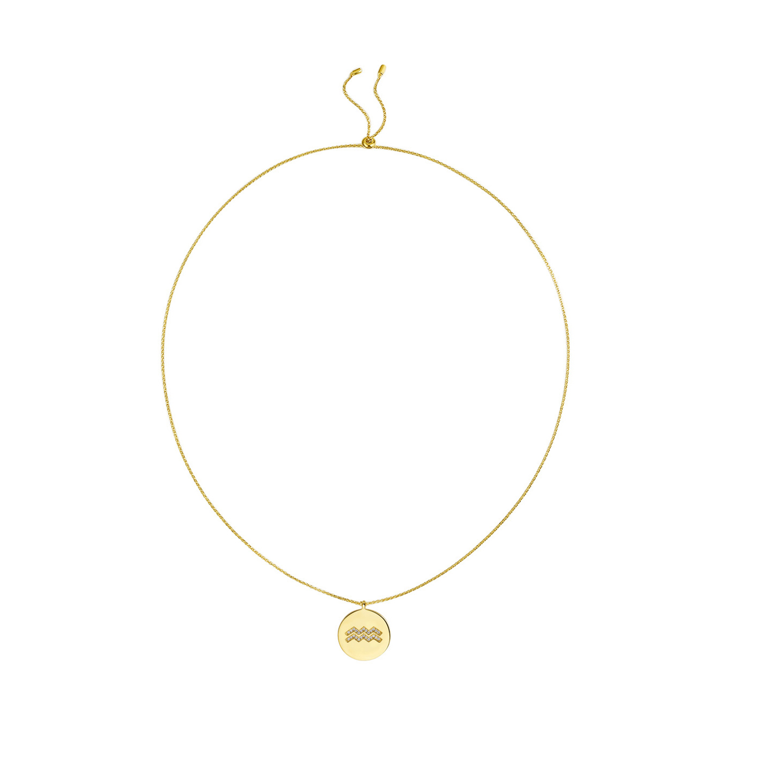 Gold Plated Silver Zodiac Necklace - Aquarius overall