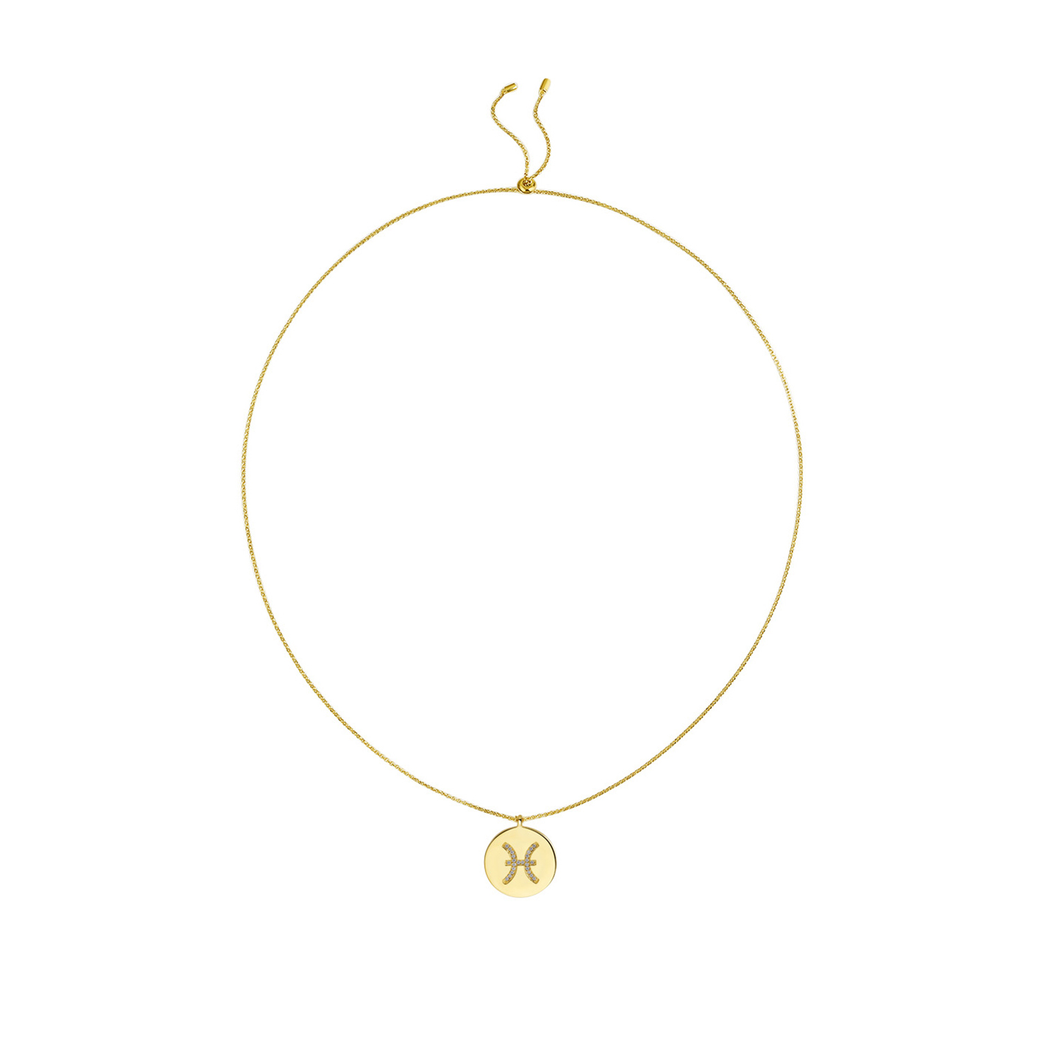 Gold Plated Silver Zodiac Necklace - Pisces overall