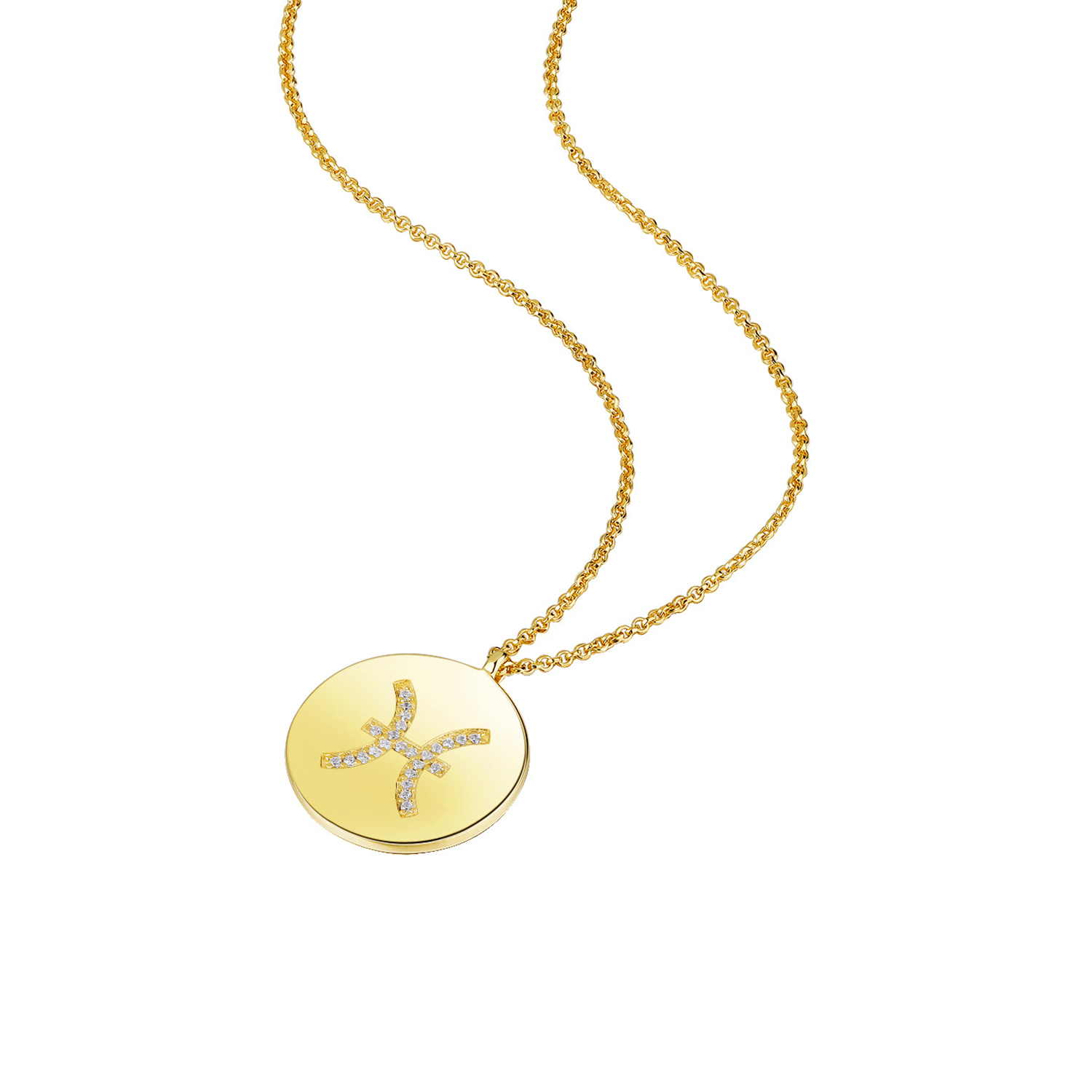 Gold Plated Silver Zodiac Necklace - Pisces side