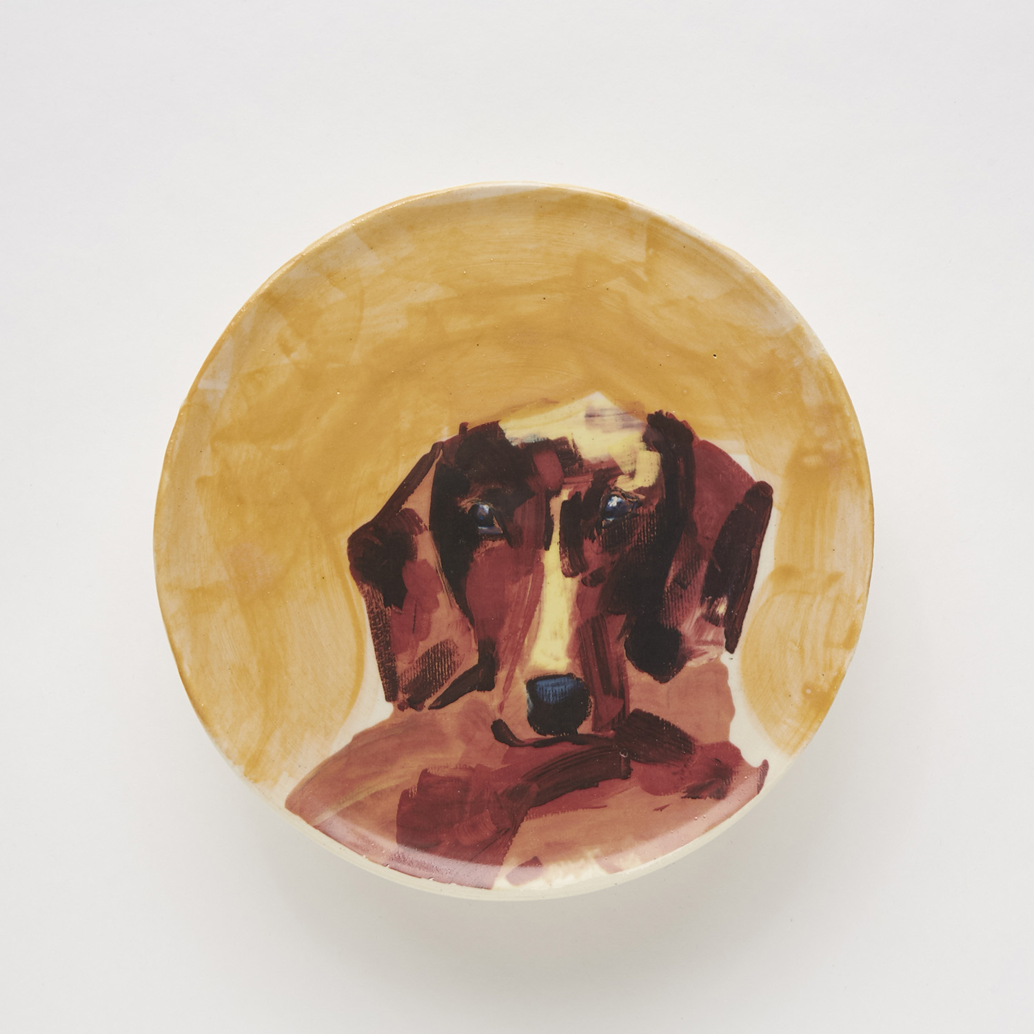 Plato-Teckel-amarillo