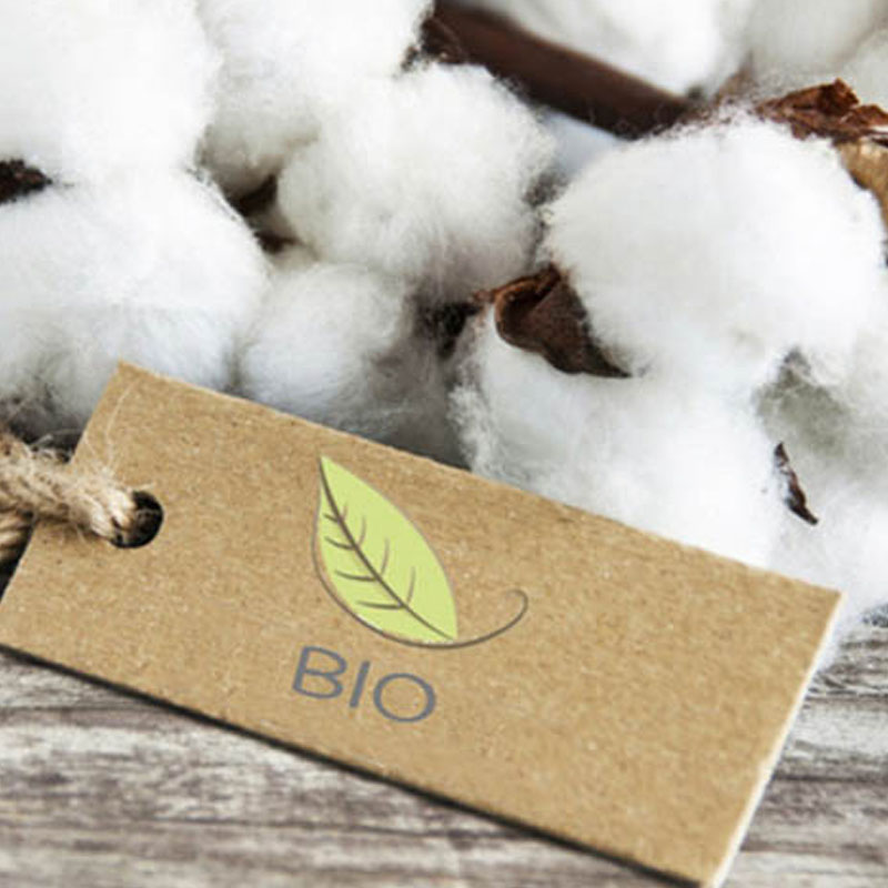 coton-bio-pour-paniers-papate