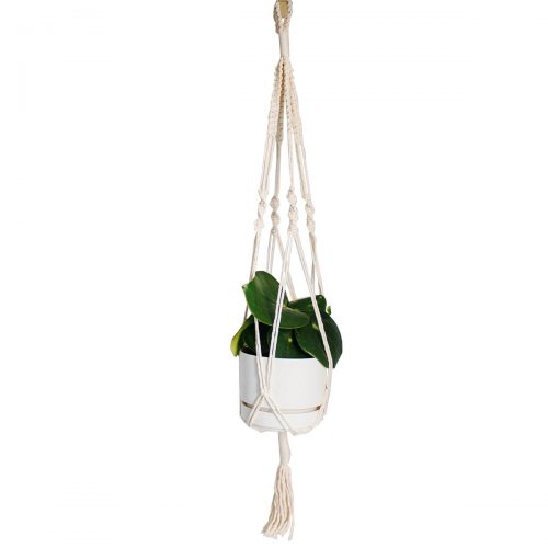 plant hanger