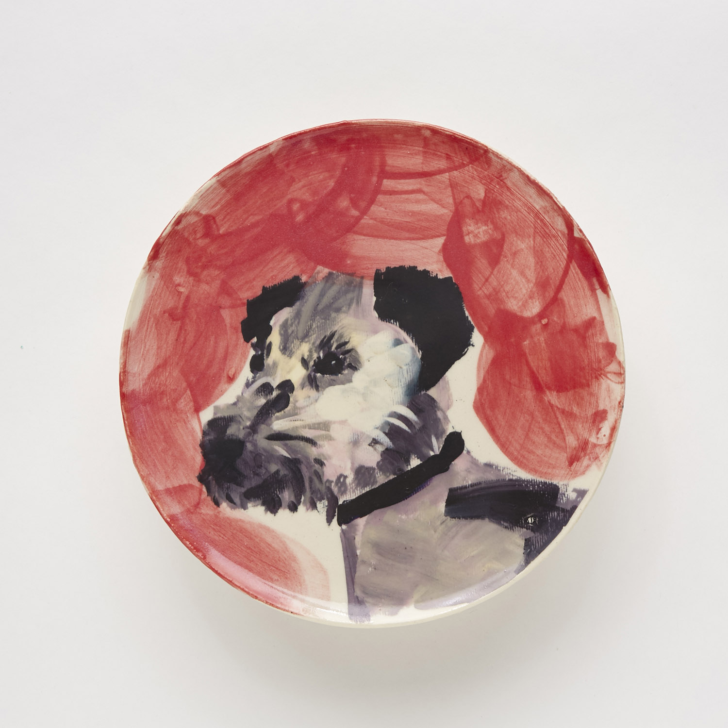 plato-border-terrier-rojo