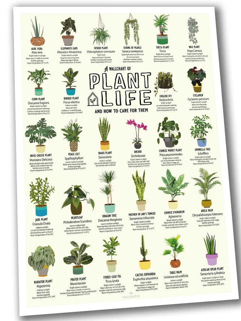 Plant_Life__PSD_1024x1024