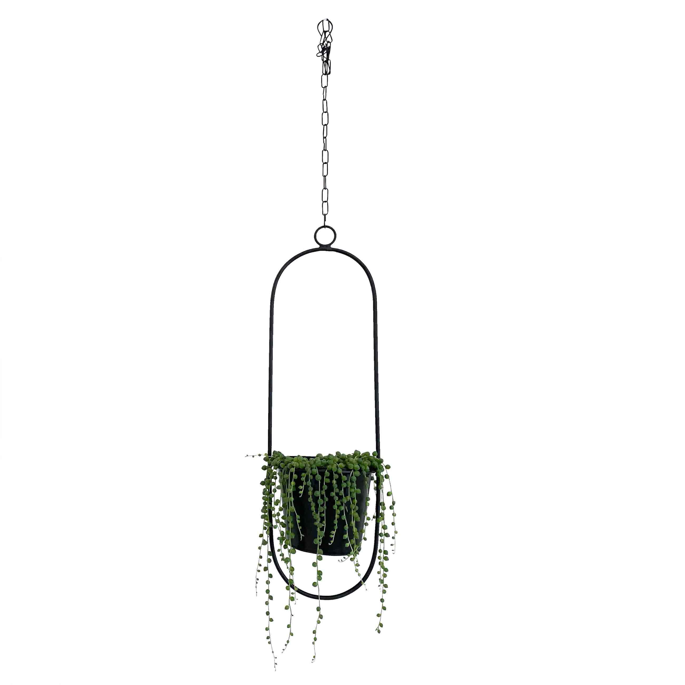 Pflanzenhänger-plant-hanger-oval-adorist_2600 (3)
