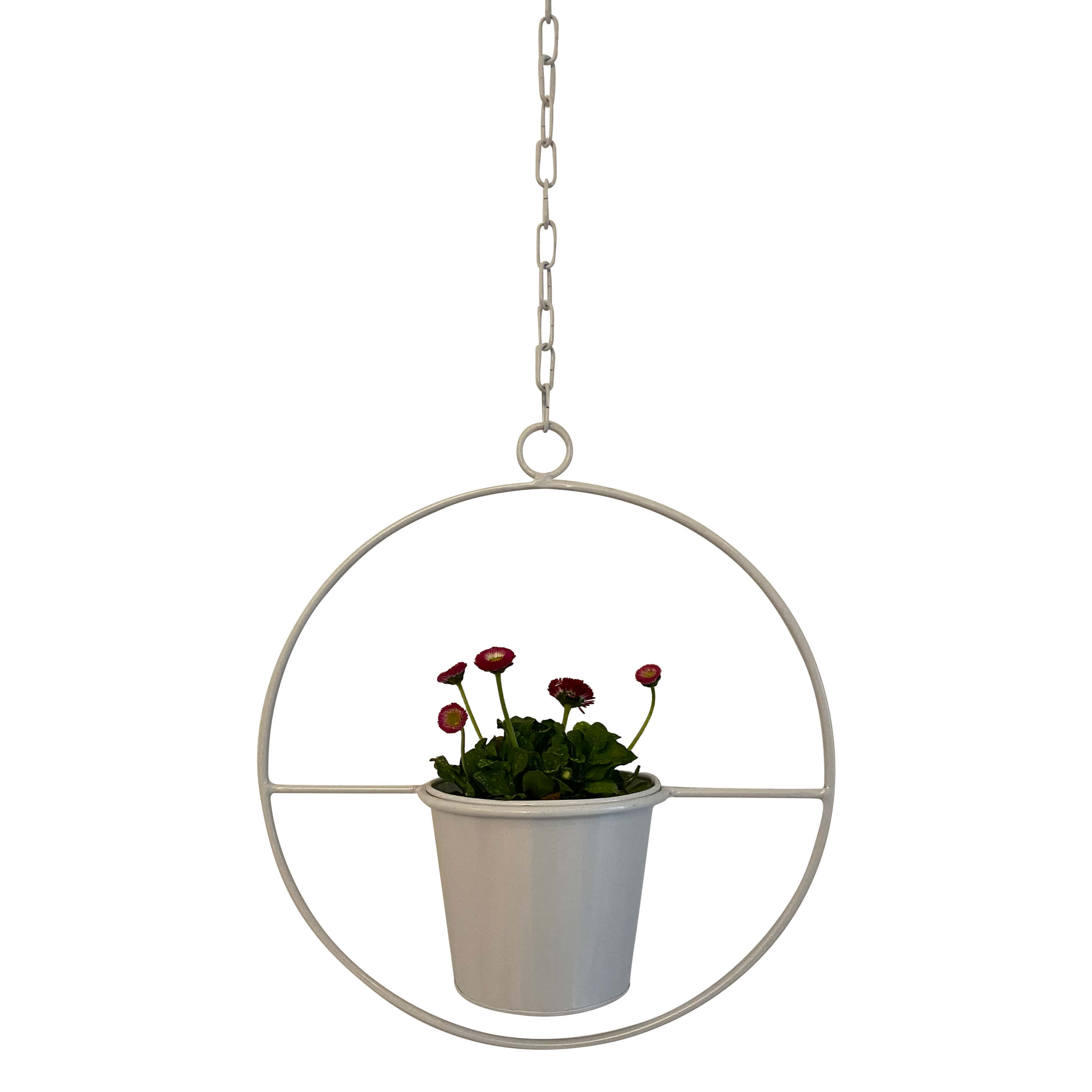 hängetopf adorist weiss (4)