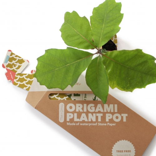 Origami plant pot 1 JP