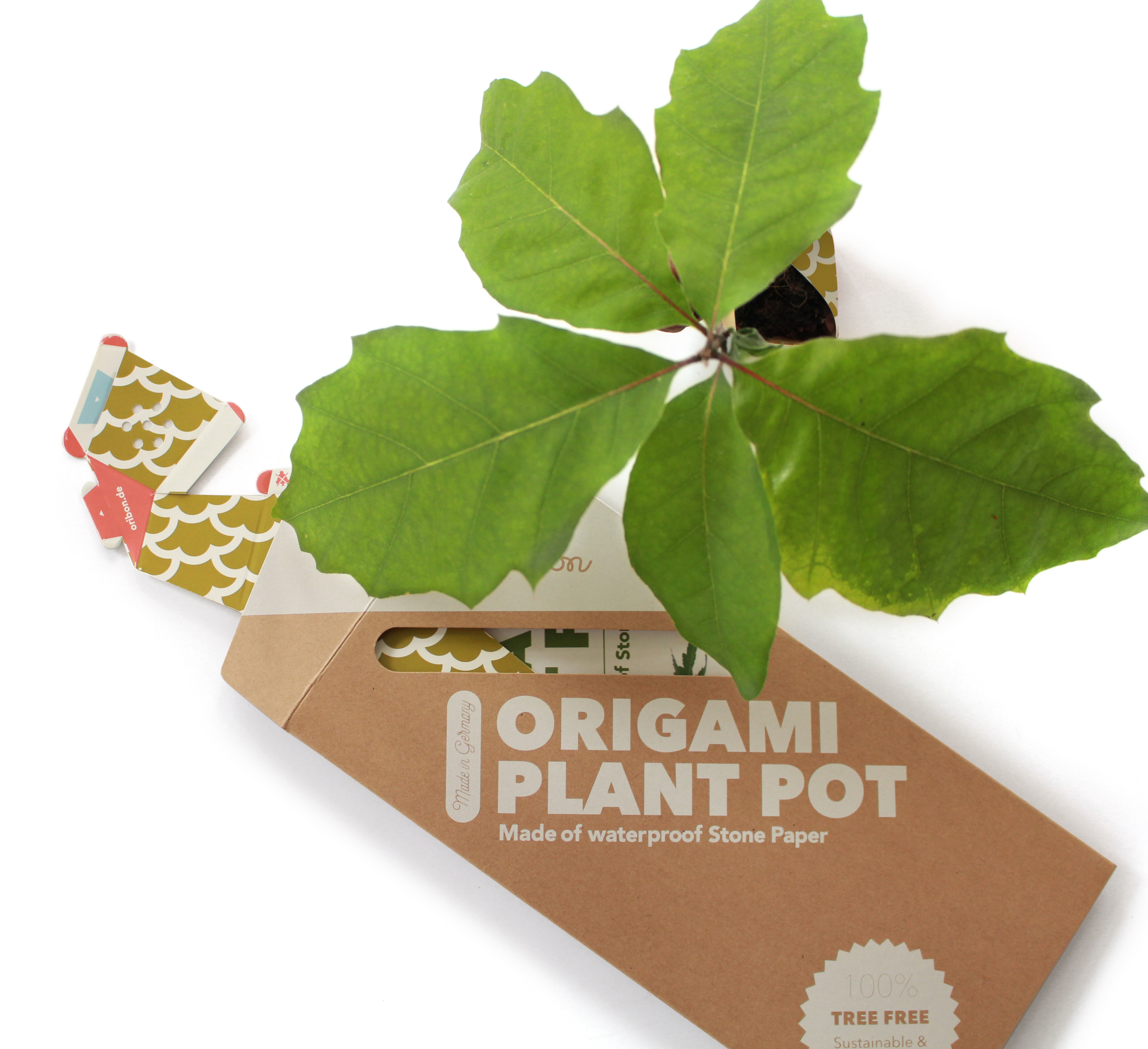OriBon_1_JP_01 Origami plant pot 1 JP