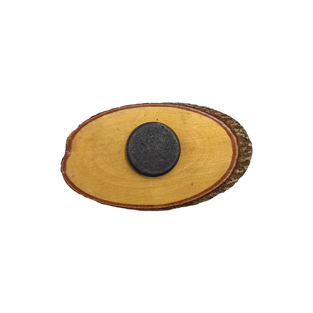 VN-1376-FISH-MAG-ASSX6-C