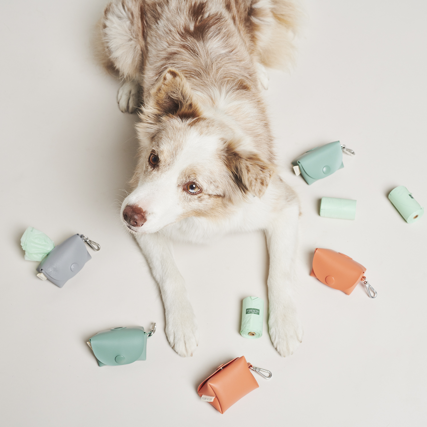 PBH ALL COLOURS DOG_1