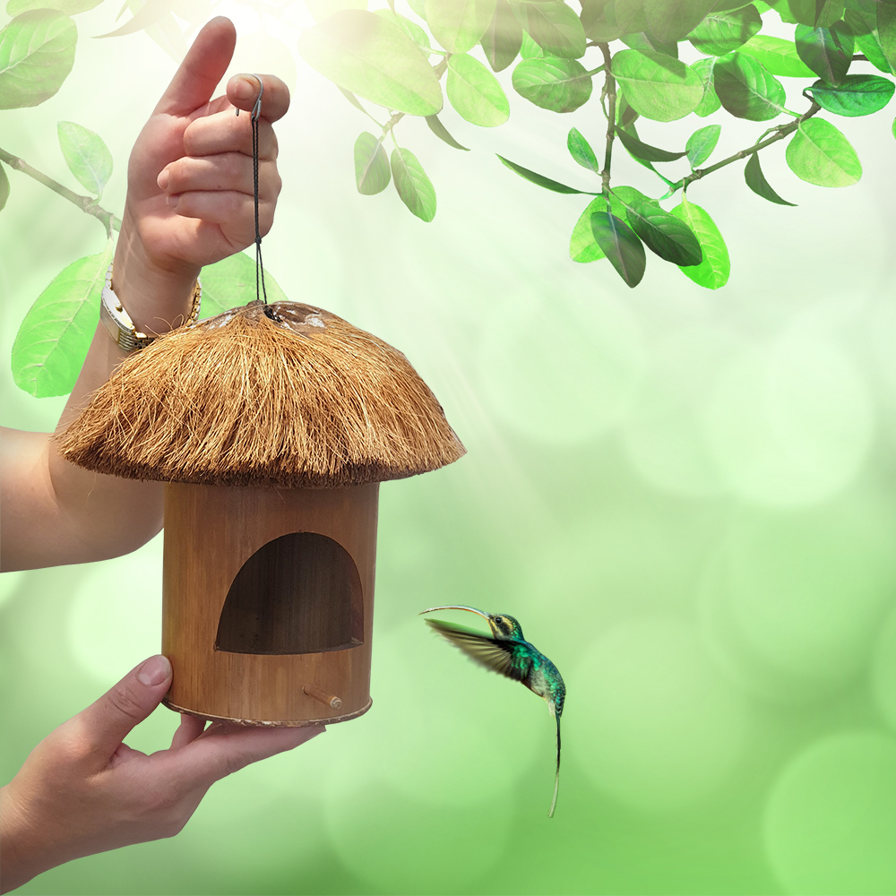 VN-0504-BRDFDR-BMB+COCO-D