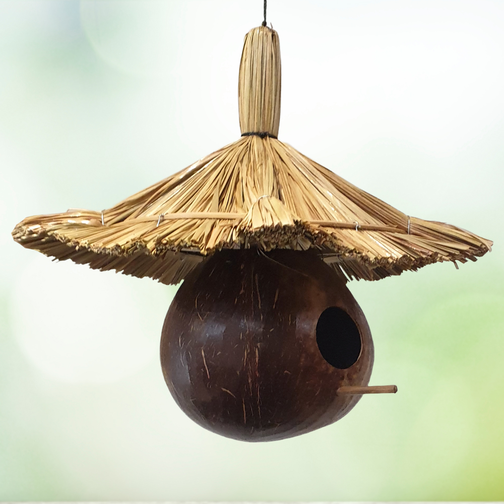 VN-0508-BRDFDR-COCO+STRAW-B