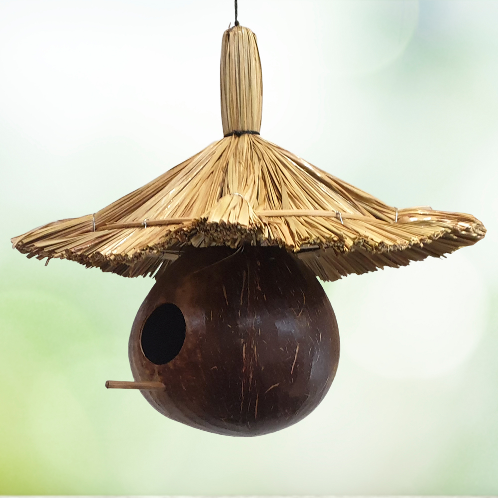 VN-0508-BRDFDR-COCO+STRAW-C